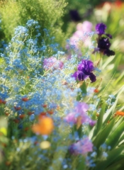 花の美術館にて・・・　1