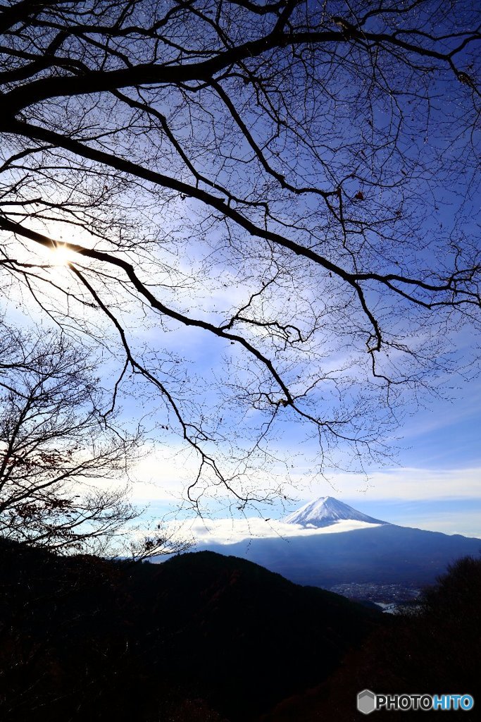晩秋の空を飾る