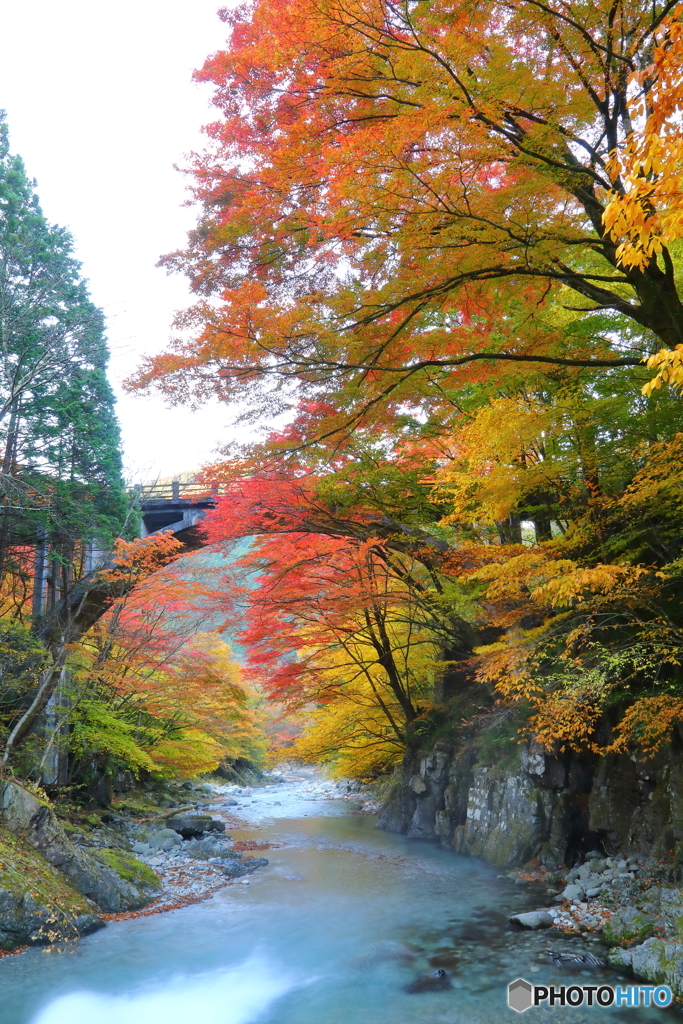 清流と紅葉