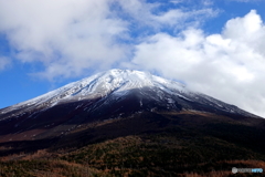 晩秋の五合目