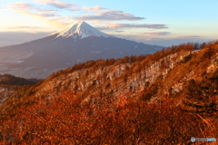 斜陽を浴びて