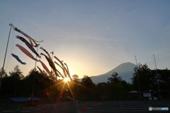 朝陽を受けて泳ぐ