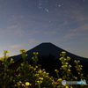 月見草とオリオンと