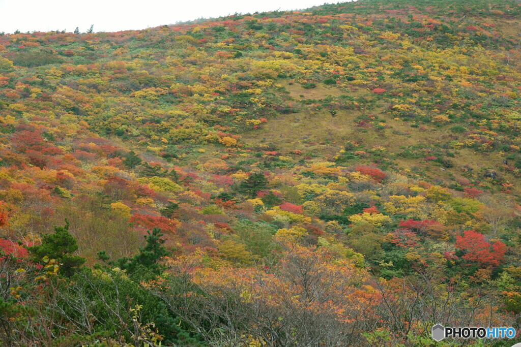 錦秋の安達太良山