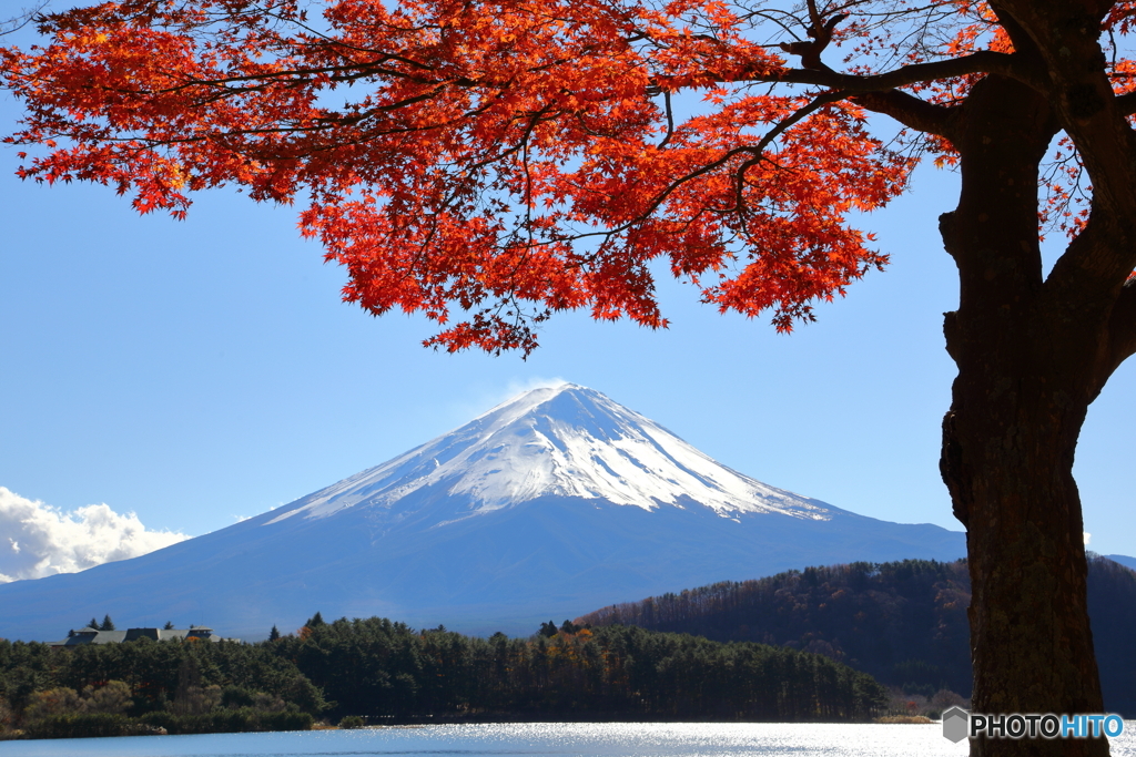 晩秋の紅葉