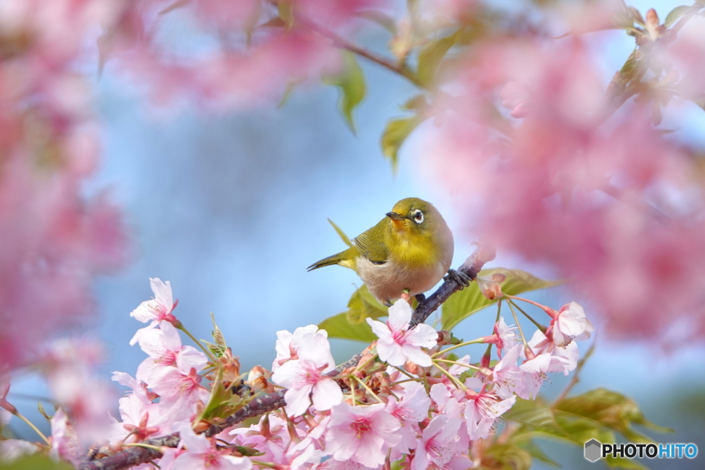 至福の時