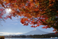紅葉と富士