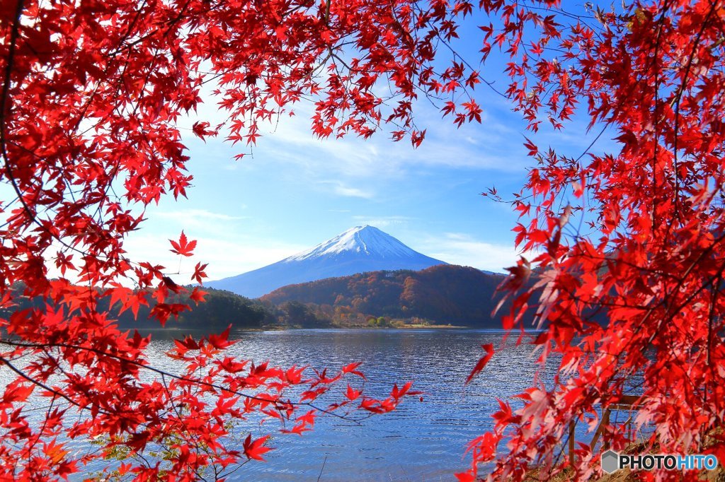 贅沢な額縁