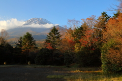 紅葉を添えて