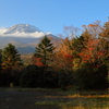 紅葉を添えて