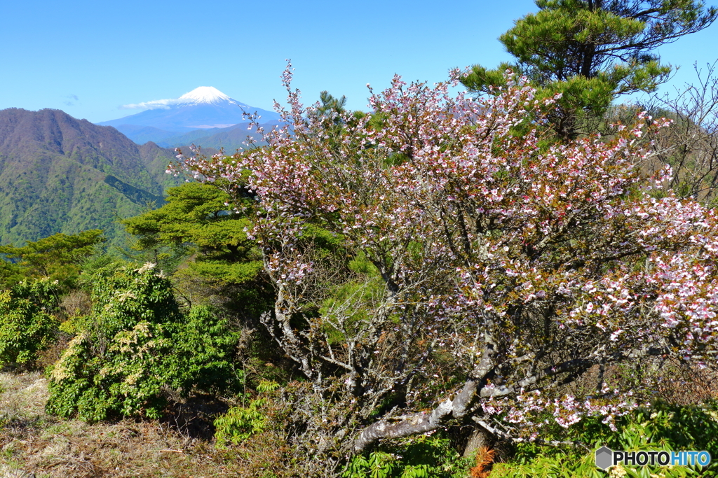 山越しの色どり