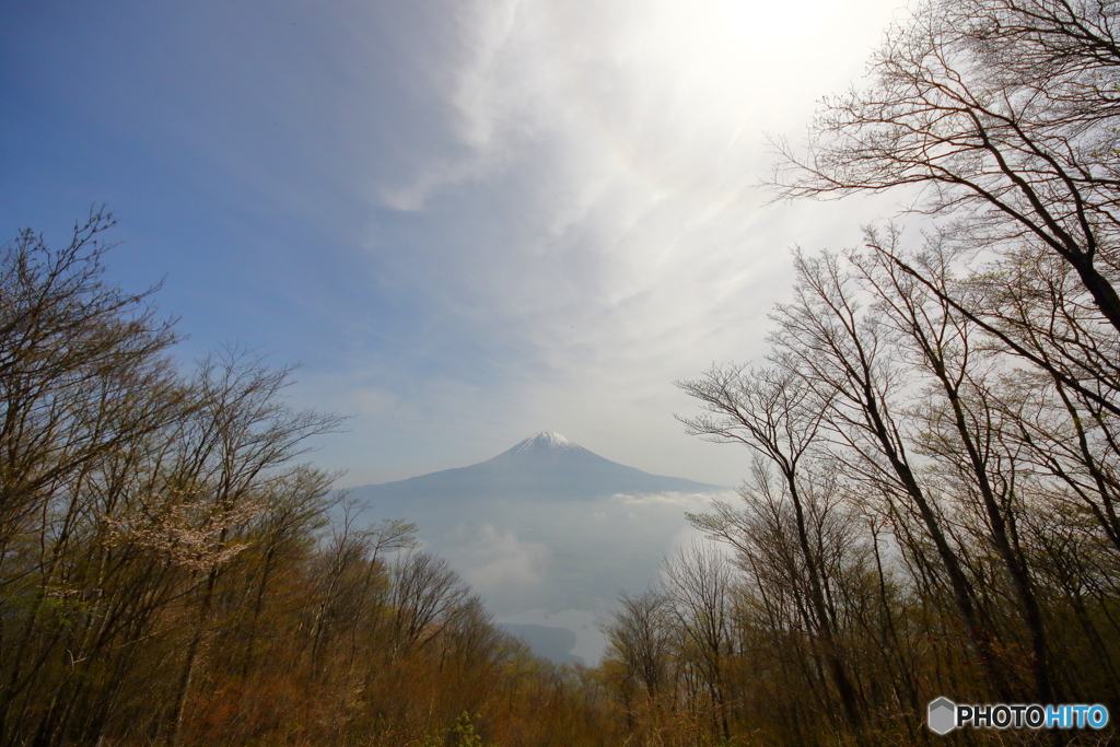 長者ヶ岳より