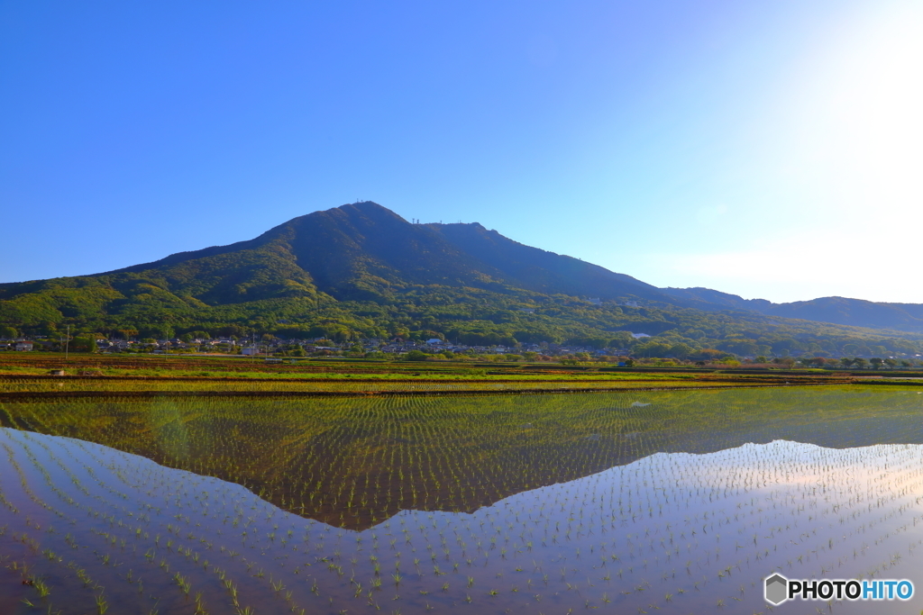 田植えの時期つくば