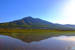 田植えの時期つくば