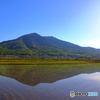 田植えの時期つくば