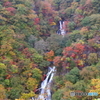 錦秋の霧降の滝