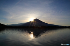 湖面に光る