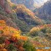 錦秋いろは坂
