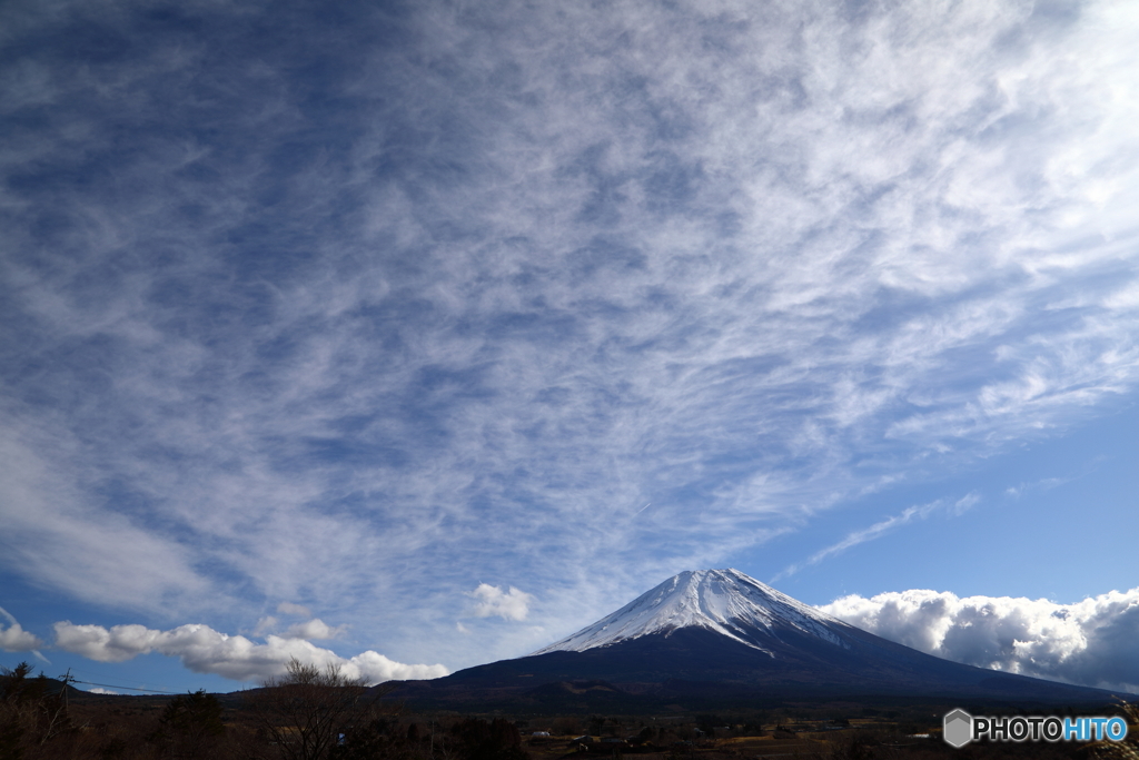 冬空を埋め尽くす