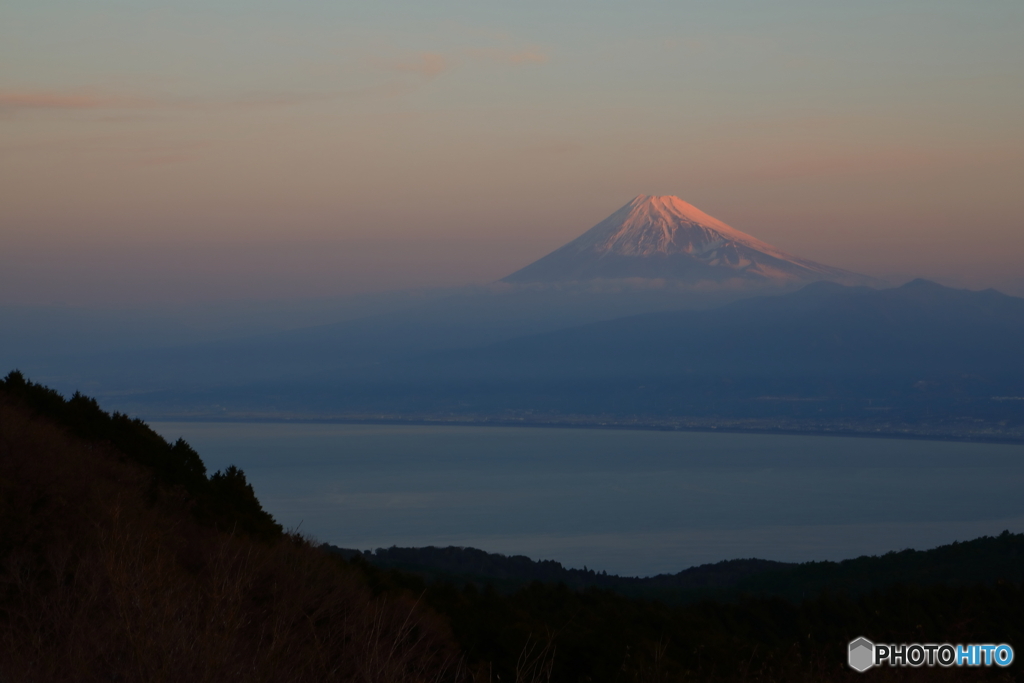 朝靄に浮かぶ