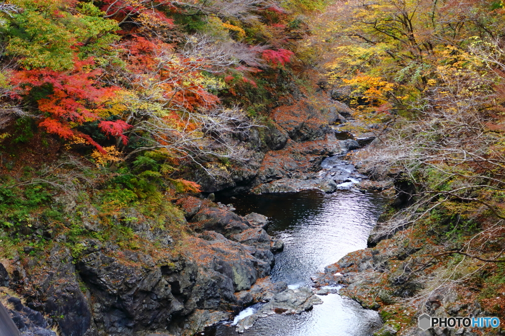 晩秋の渓谷