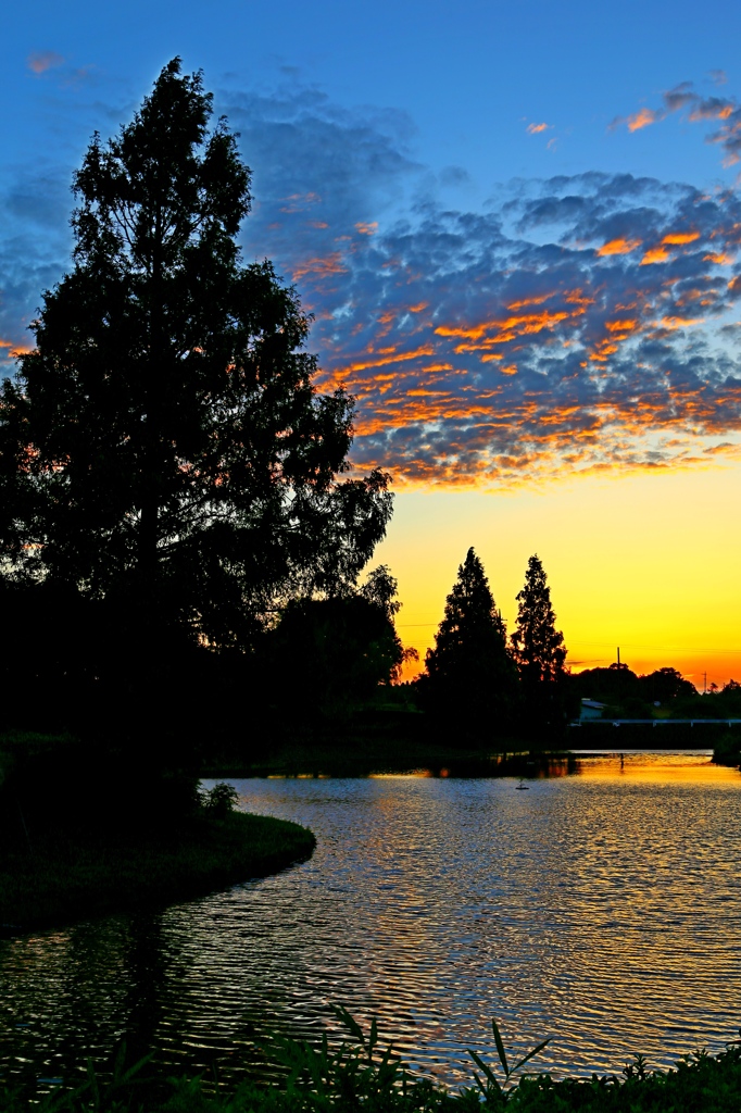 公園の夕日３