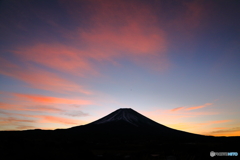 新春紅空