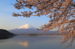 春陽を浴びて