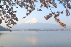 はなのれん