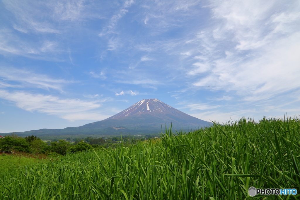 夏も近づく・・