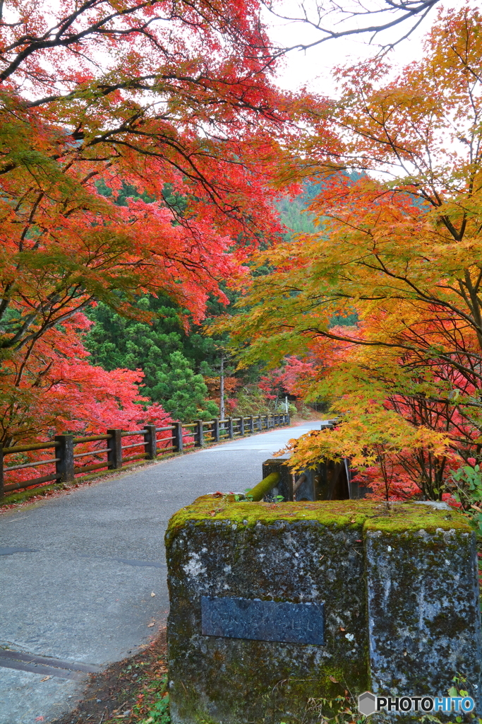 苔むす橋標