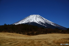 新春の月灯り