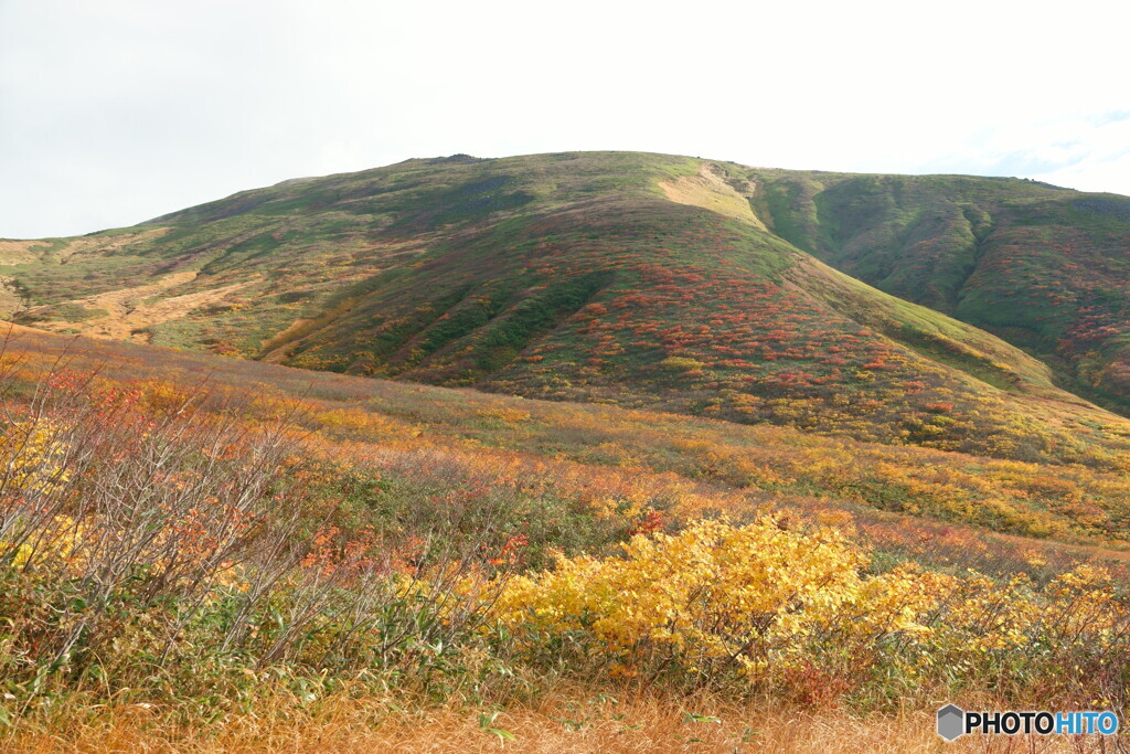 秋色に染まる月山