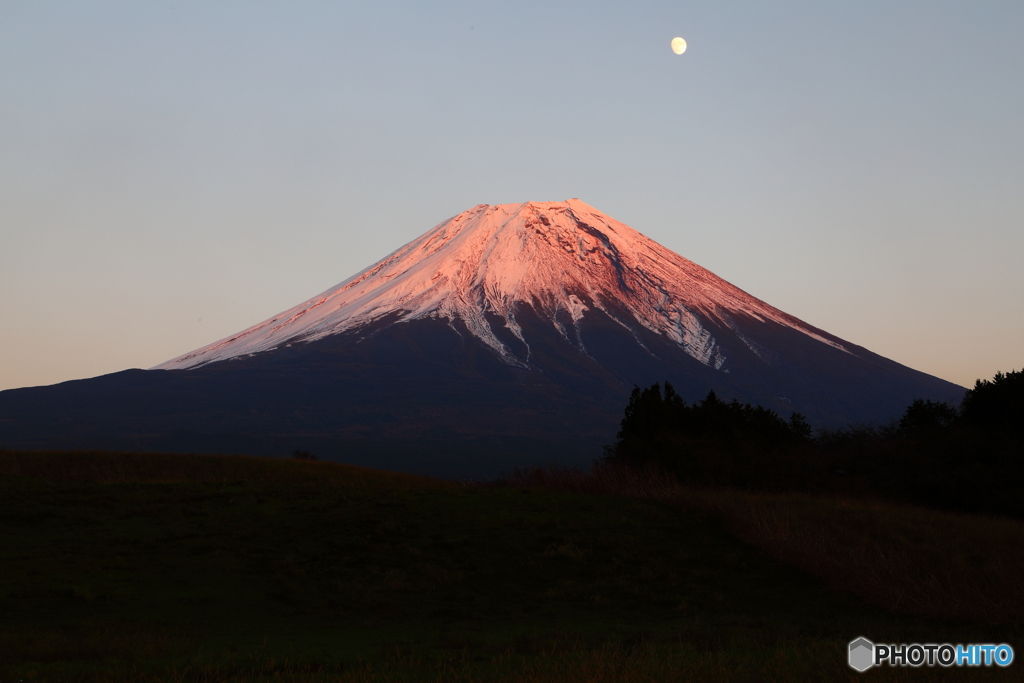 今季初の紅富士