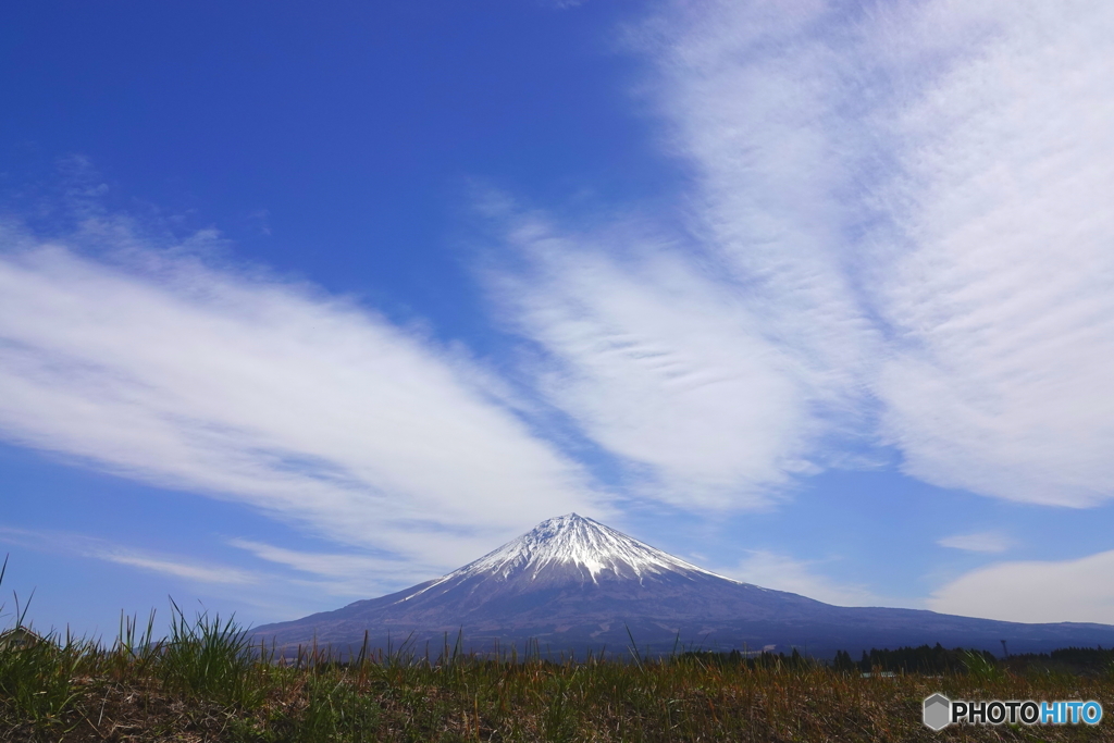 やはり雲かな