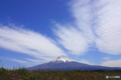 やはり雲かな