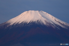 青白青