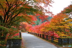 紅葉の橋