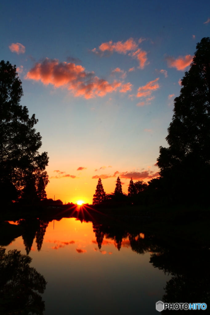公園の夕陽