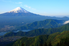 緑濃く
