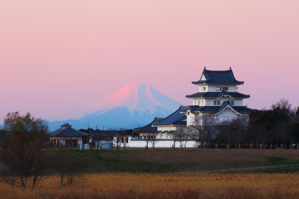 関宿城と紅富士