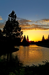 公園の夕日１