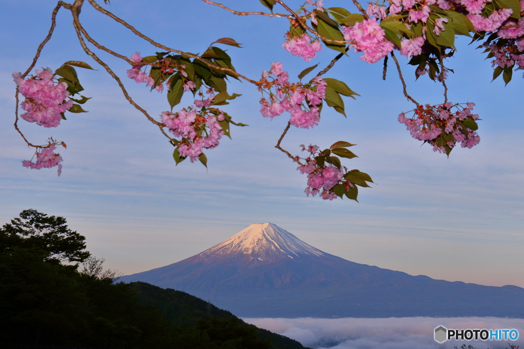 雲海と残り桜