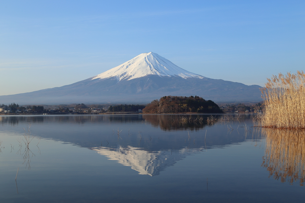のどかな休日　河口湖