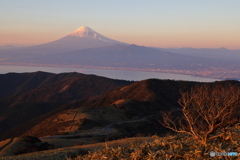 夕暮れ達磨山