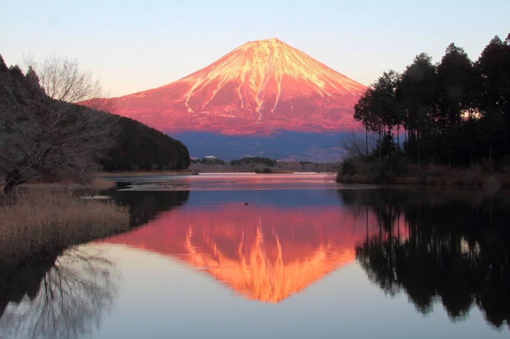 夕暮れ逆さ