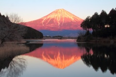 夕暮れ逆さ