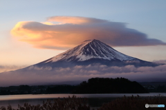 ガメラ登場