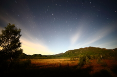 星降る湿原