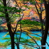 青湖と紅葉